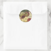Appels Botanische  fruitillustratie Ronde Sticker (Tas)