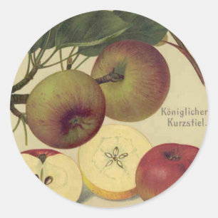 Appels Botanische  fruitillustratie Ronde Sticker