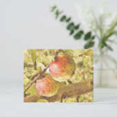 APPELS BRIEFKAART (Staand voorkant)