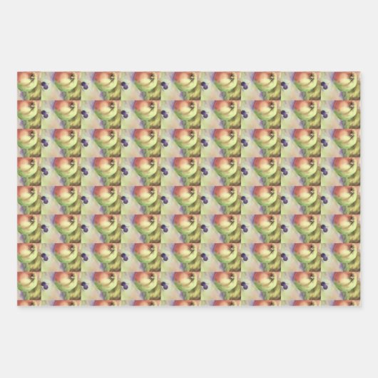 Appels Druiven Gift Wrapping - Fruit Oogst Inpakpapier Vel (Voorkant 2)