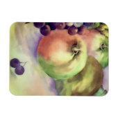 Appels Druiven Peren Geïnspireerd - Fruit Oogst Magneet (Horizontaal)