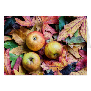 Appels en herfstbladeren foto