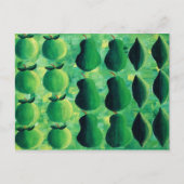 Appels en limoenen schilderen briefkaart (Voorkant)