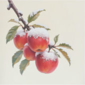 Appels en sneeuw sticker (Voorkant)