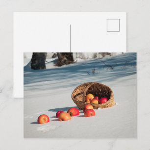 Appels in de sneeuw briefkaart