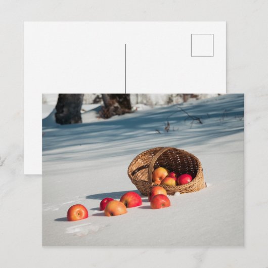 Appels in de sneeuw briefkaart (Voorkant / Achterkant)
