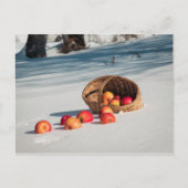 Appels in de sneeuw briefkaart (Voorkant)