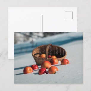 Appels in de sneeuw briefkaart