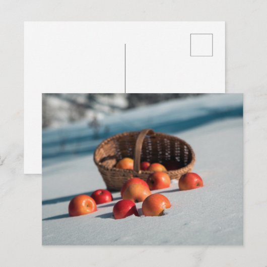 Appels in de sneeuw briefkaart (Voorkant / Achterkant)
