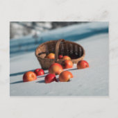 Appels in de sneeuw briefkaart (Voorkant)