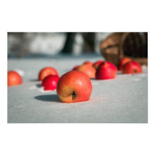 Appels in de sneeuw foto afdruk