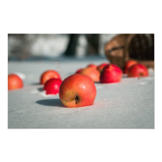 Appels in de sneeuw foto afdruk (Voorkant)