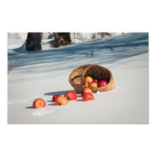 Appels in de sneeuw foto afdruk (Voorkant)