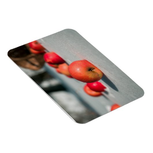 Appels in de sneeuw magneet (Rechterzijde)