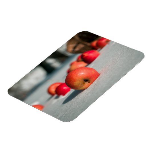 Appels in de sneeuw magneet (Linkerzijde)