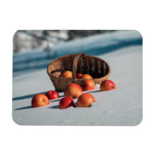 Appels in de sneeuw magneet