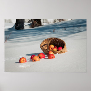 Appels in de sneeuw poster