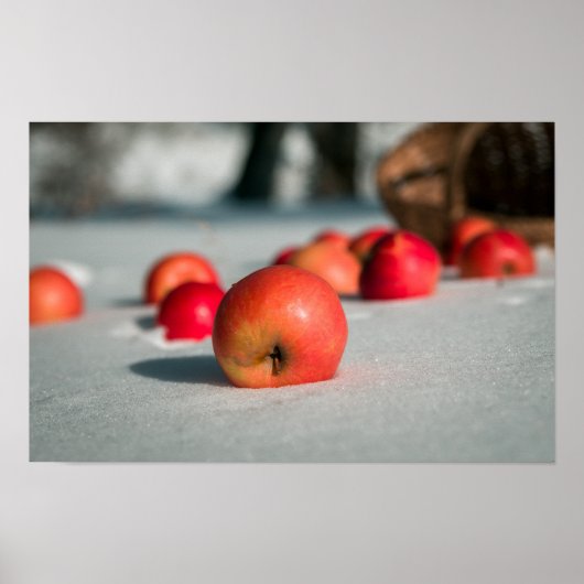 Appels in de sneeuw poster (Voorkant)