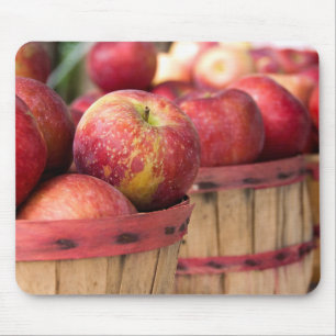 appels in emmer mand muismat