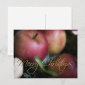 Appels · Kerst Briefkaart (Voorkant / Achterkant)