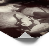 Appels op de boom  zwart-wit Abstract Poster (Hoek)