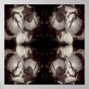 Appels op de boom  zwart-wit Abstract Poster