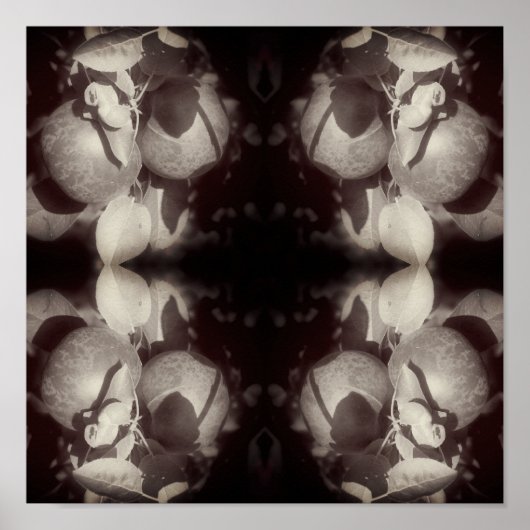 Appels op de boom  zwart-wit Abstract Poster (Voorkant)