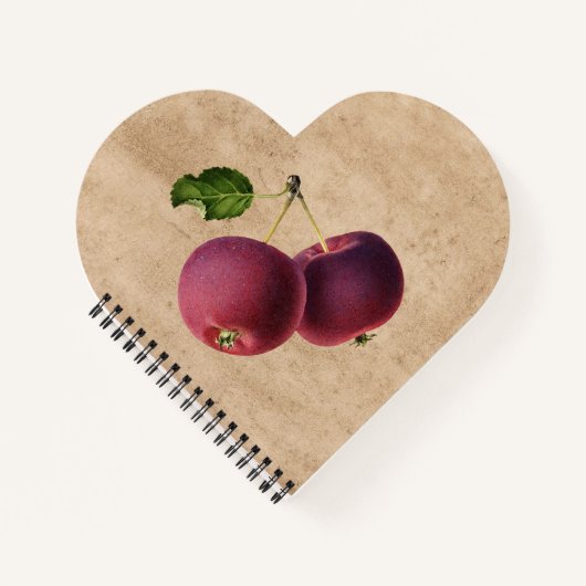 appels op een takje notitieboek (Voorkant)