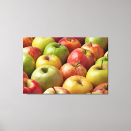 Appels - Rijp & Kleurrijk Canvas Afdruk