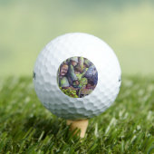 Appeltaart heeft appels nodig golfballen (Insitu Shirt)