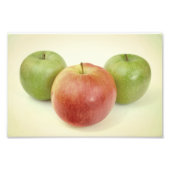 Appelvruchten Foto Afdruk (Voorkant)