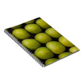 Appelvruchten levensmiddelengroene appels notitieboek (Rechterzijde)