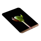 Appelzaailingen met zaaddop magneet (Rechterzijde)