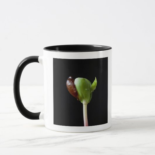 Appelzaailingen met zaaddop mok (Links)