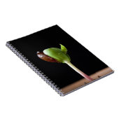 Appelzaailingen met zaaddop notitieboek (Rechterzijde)