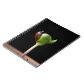 Appelzaailingen met zaaddop notitieboek (Linkerzijde)