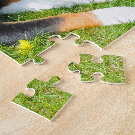 Appenzell Mountain Dogs. Legpuzzel (Zijkant)