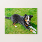 Appenzell Mountain Dogs. Legpuzzel (Horizontaal)