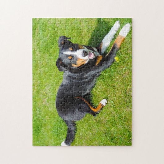 Appenzell Mountain Dogs. Legpuzzel (Verticaal)