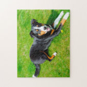 Appenzeller Sennenhonden. Legpuzzel (Verticaal)