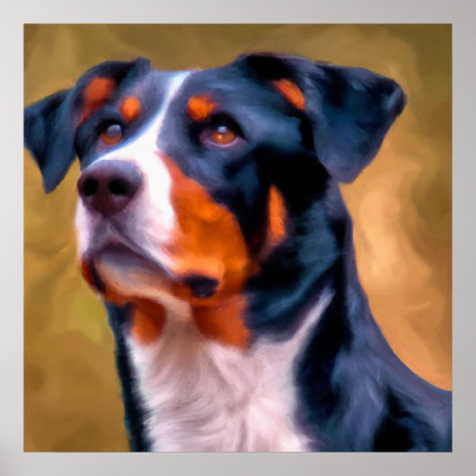 Appenzeller Sennenhund - Dog Portrait Poster (Voorkant)