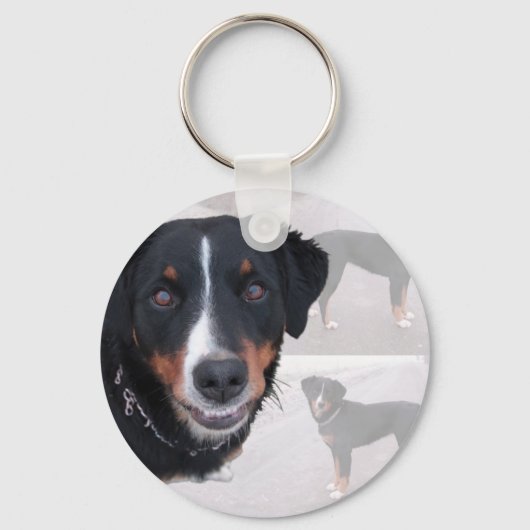 "Appenzeller Sennenhund" Sleutelhanger (Voorkant)