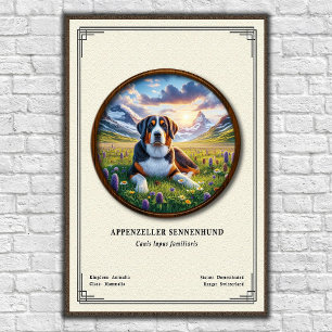Appenzeller Sennenhund Zoölogische Serie Poster
