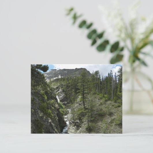 Appistoki Herfsten en piek in Glacier National Par Briefkaart (Staand voorkant)