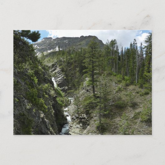 Appistoki Herfsten en piek in Glacier National Par Briefkaart (Voorkant)