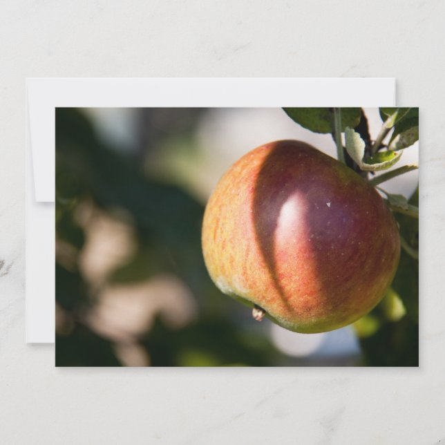 Apple (Voorkant)