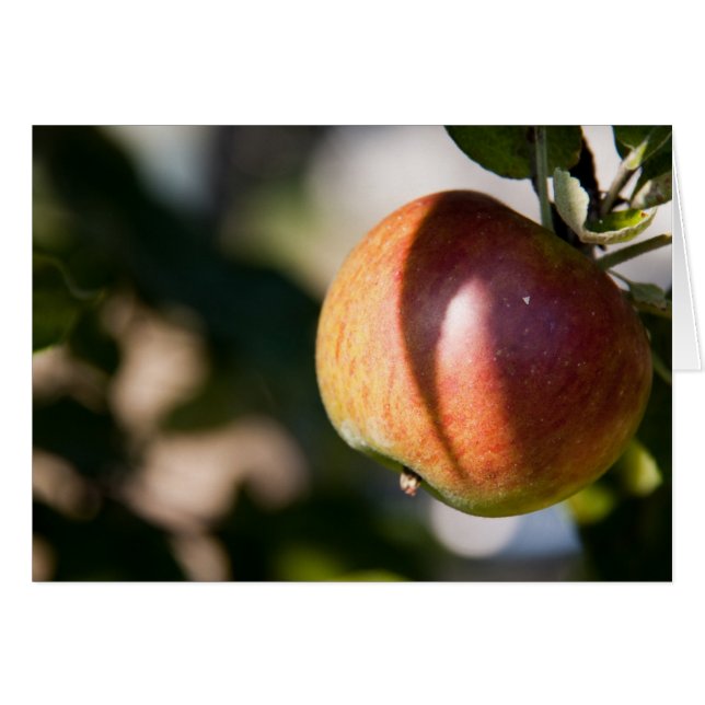 Apple (Voorkant Horizontaal)