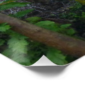 APPLE BANANA TREES BIG ISLAND HAWAII PERFECT POSTER (Hoek)