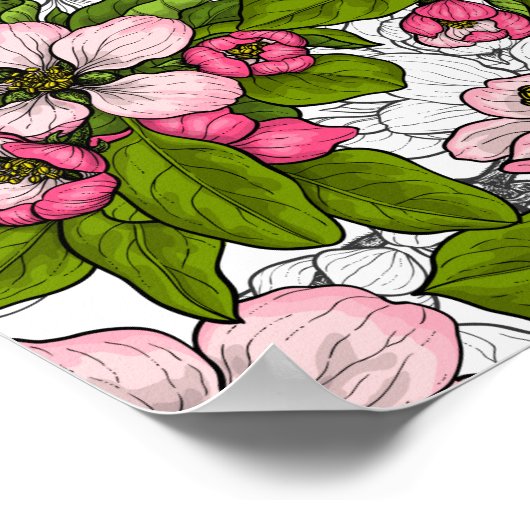Apple-bloesem op wit poster (Hoek)