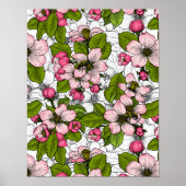 Apple-bloesem op wit poster (Voorkant)